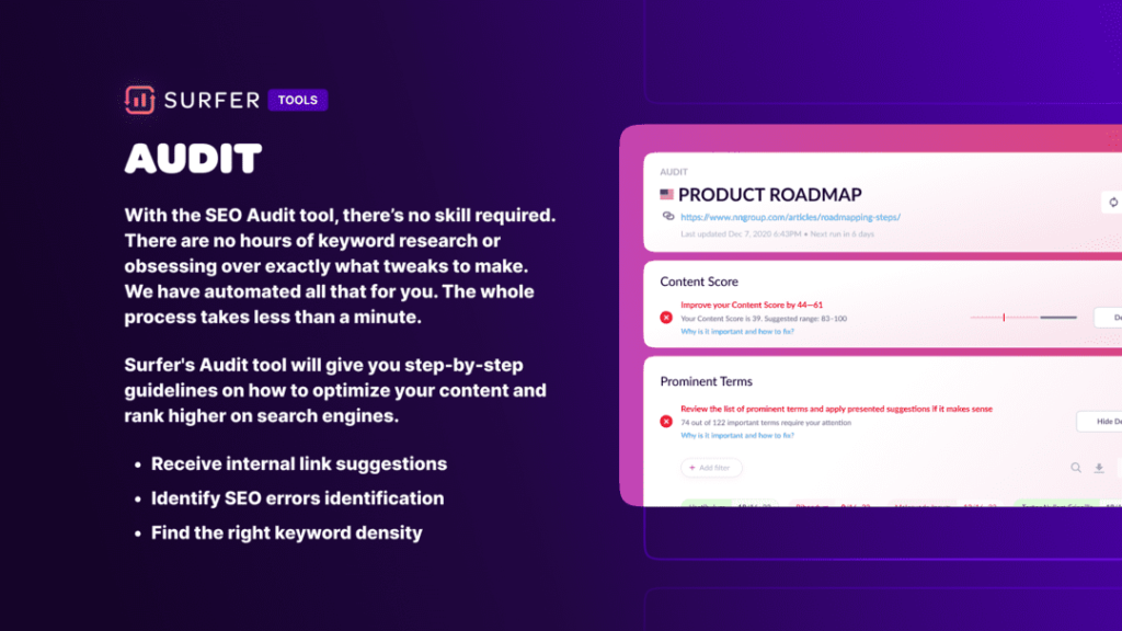 Surfer SEO Audit