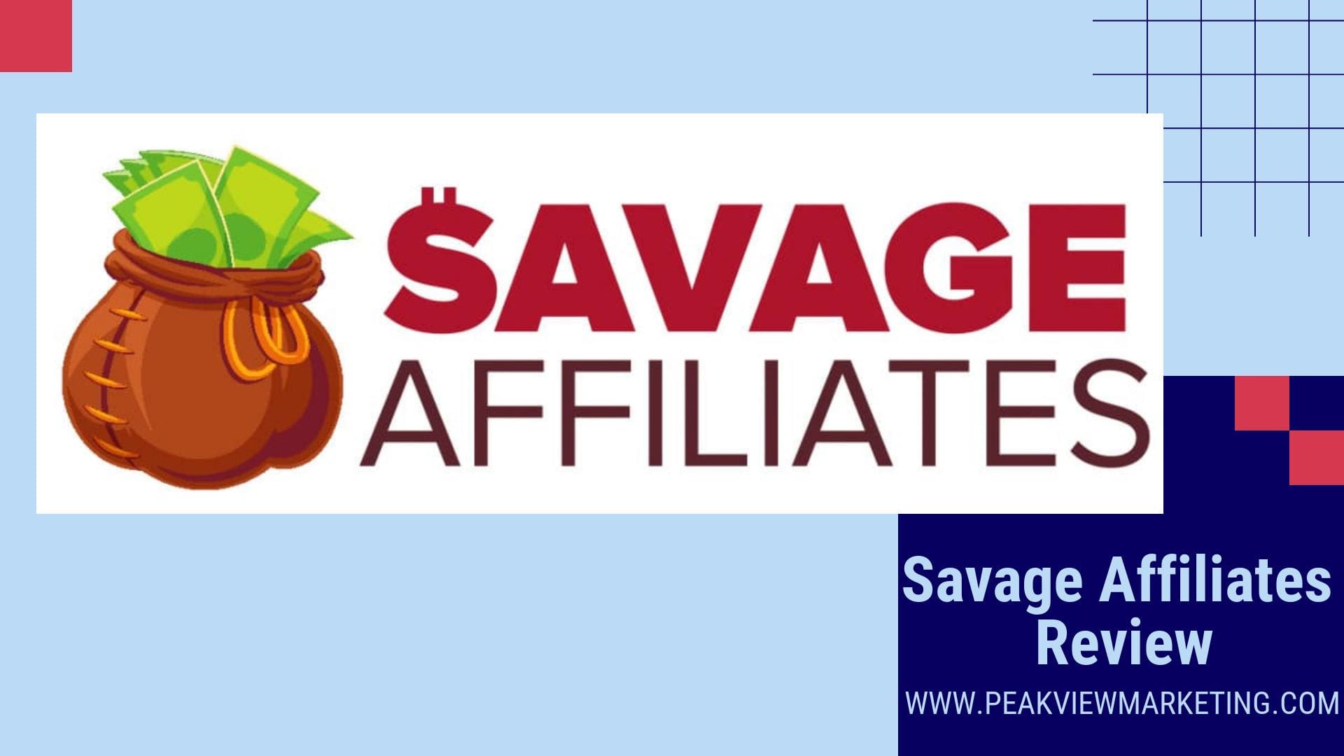 Savage Affiliates Review Image